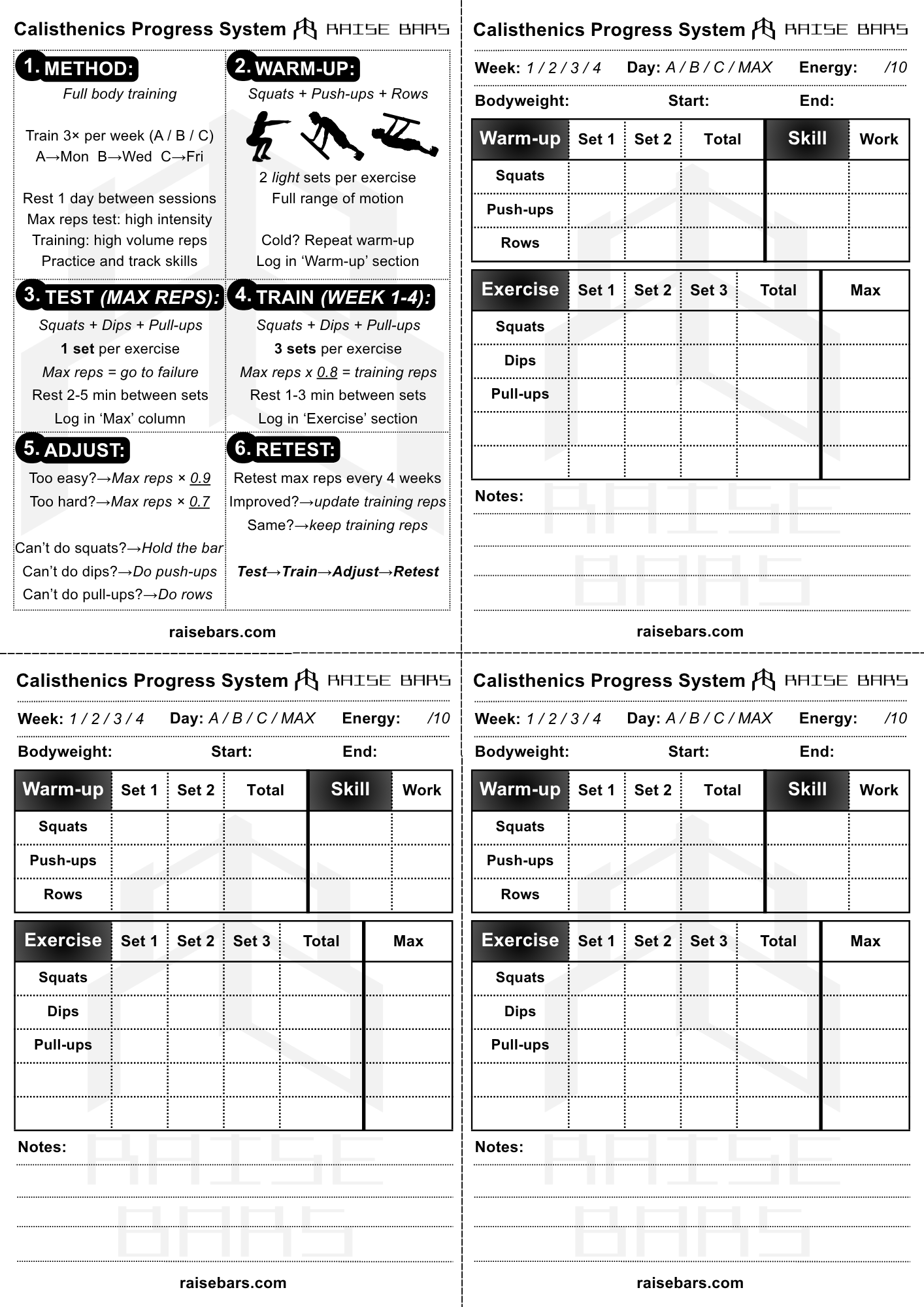 RAISE BARS Calisthenics Progress System