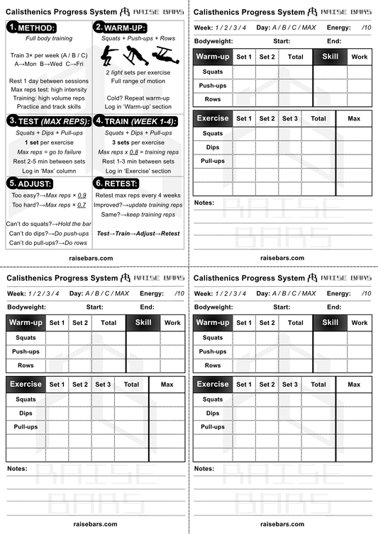 RAISE BARS Calisthenics Progress System